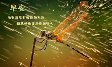 九游体育APP下载-竞争激烈，只有最强者能笑到最后