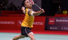 九游娱乐入口-包含泰国羽毛球队轻取马来西亚羽毛球队，陶菲克送出助攻的词条