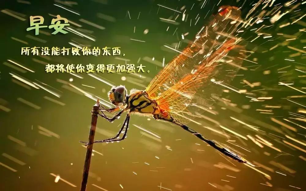 竞争激烈,只有最强者能笑到最后 竞争激烈,只有最强者能笑到最后