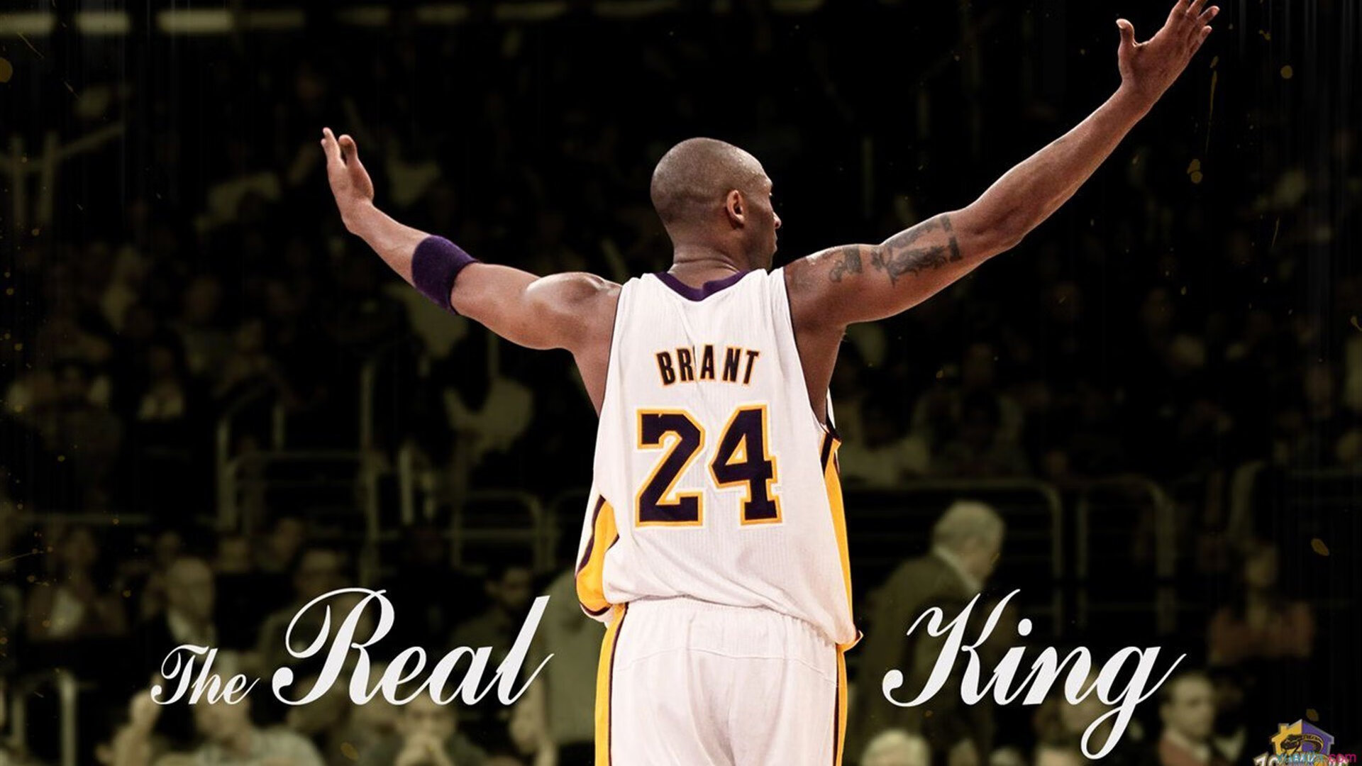 森林狼对阵北京队，保罗节奏完全掌控